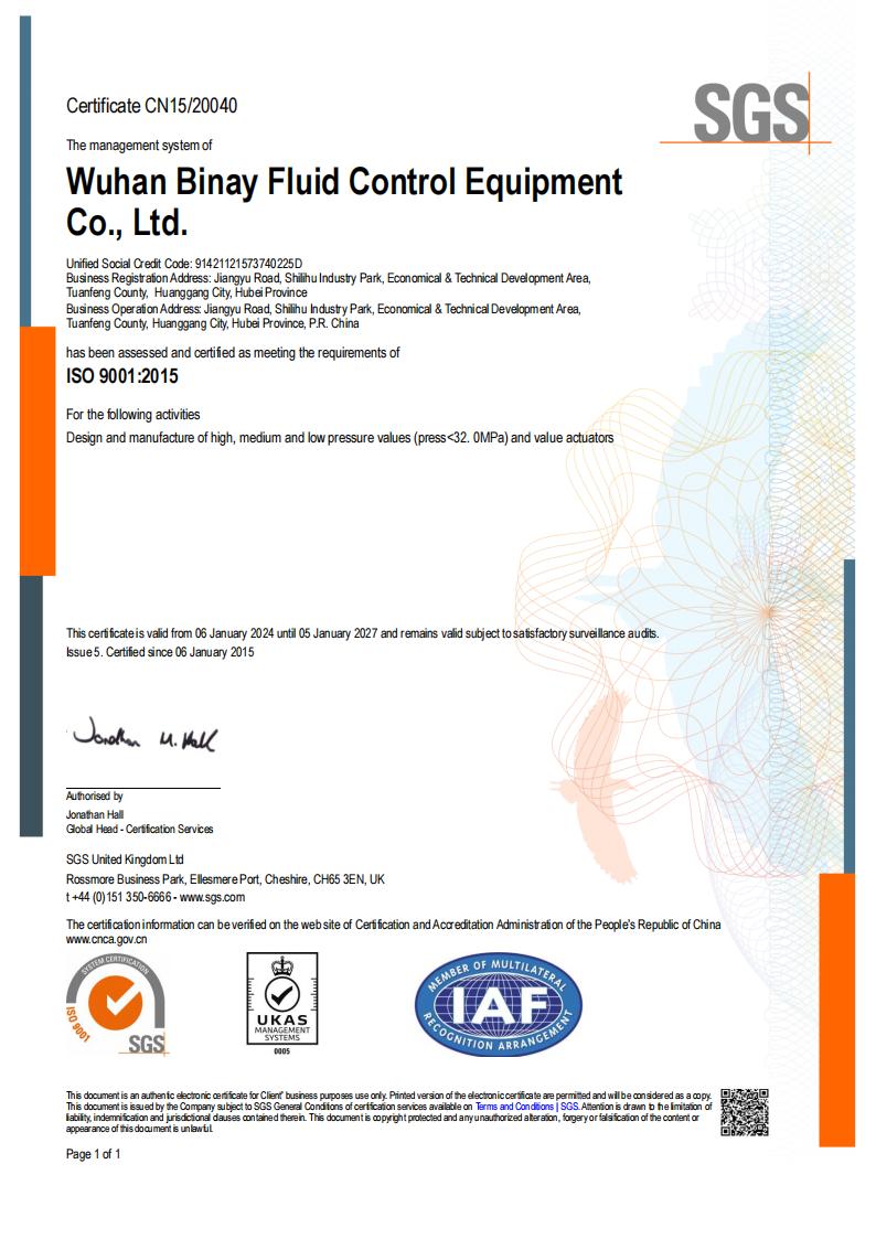 ISO 9001: 2015 Сертификат на английском языке